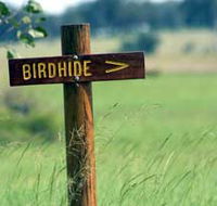 Wooroolin Wetland - Lightning Ridge Tourism