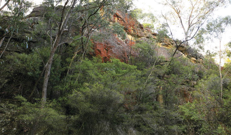 Good Forest NSW Lightning Ridge Tourism