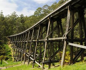 Noojee Trestle Bridge - Lightning Ridge Tourism 0