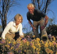 Canna Reserve - Lightning Ridge Tourism