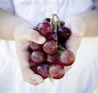 Granitevale  Estate Winery - Lightning Ridge Tourism