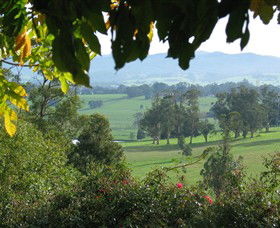 Brandy Creek Wines & View Cafe - Lightning Ridge Tourism 5