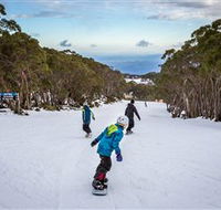 Mt Baw Baw Alpine Resort - Lightning Ridge Tourism