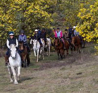 Burnelee Excursions on Horseback - Lightning Ridge Tourism