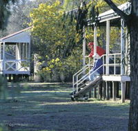 Dryandra Woodland - Lightning Ridge Tourism