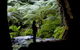 Glow Worm Tunnel - thumb 2