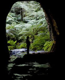 Glow Worm Tunnel - Lightning Ridge Tourism 2