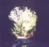 Glow Worm Tunnel - Lightning Ridge Tourism