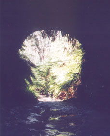 Glow Worm Tunnel - Lightning Ridge Tourism 0