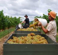 Golden Grove Estate - Lightning Ridge Tourism