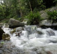 Washpool National Park - Lightning Ridge Tourism