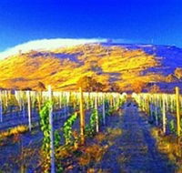 Surveyors Hill Winery - Lightning Ridge Tourism