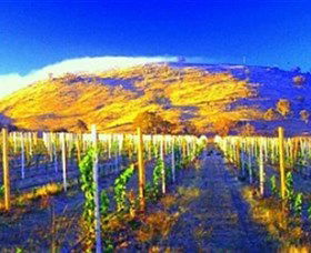 Surveyors Hill Winery - Lightning Ridge Tourism 0