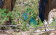 Carlotta Arch Walking Track - thumb 0