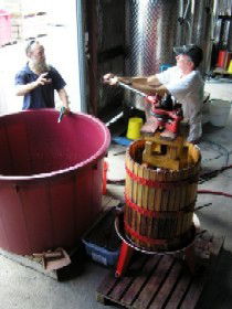 Pyramids Road Wines - Lightning Ridge Tourism 2