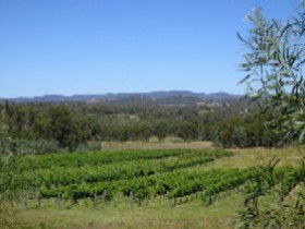 Pyramids Road Wines - Lightning Ridge Tourism 3