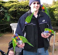 Canberra Walk In Aviary - Lightning Ridge Tourism