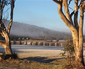 Savina Lane Premum Wines - Lightning Ridge Tourism 0