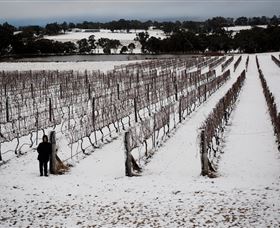 Savina Lane Premum Wines - Lightning Ridge Tourism 2