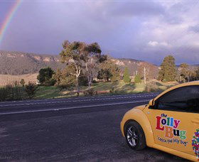The Lolly Bug - Lightning Ridge Tourism 1