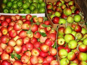 Suttons Juice Factory And Cidery - Lightning Ridge Tourism 2