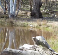Mulligans Flat - Lightning Ridge Tourism