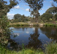 Cooleman Ridge - Lightning Ridge Tourism