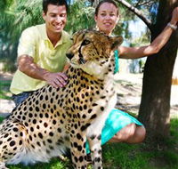 National Zoo  Aquarium - Lightning Ridge Tourism