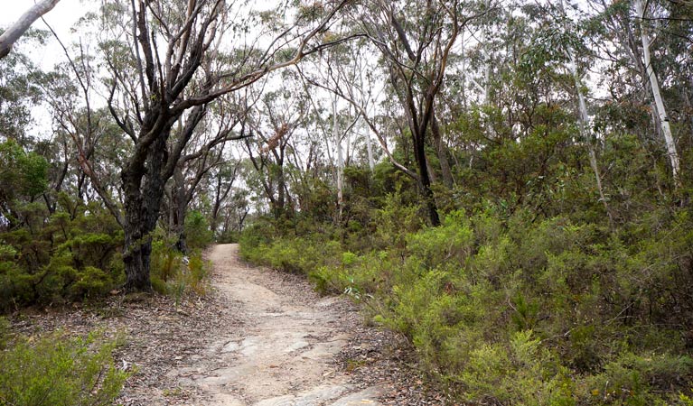 Ganbenang NSW Lightning Ridge Tourism