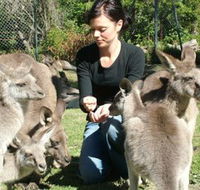 Canons Shuttles Day Tours - Lightning Ridge Tourism
