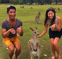 Runaway Tours - Lightning Ridge Tourism