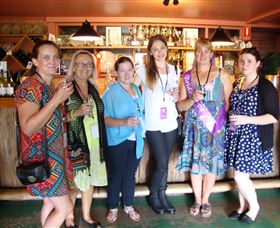 Shire Shuttle Bus  - Lightning Ridge Tourism 1