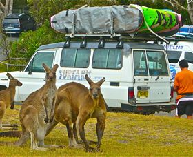 Surfaris Surf Camp - Lightning Ridge Tourism 3