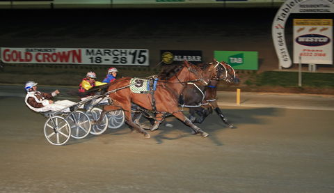 Bathurst Harness Racing Club - Lightning Ridge Tourism 3