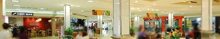 Ashfield Mall Shopping Centre - Lightning Ridge Tourism 1