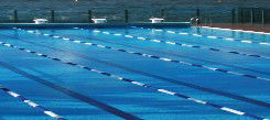 Andrew Boy Charlton Pool - Lightning Ridge Tourism 1