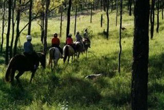 Windella NSW Lightning Ridge Tourism