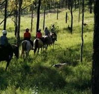 Hunter Valley Horse Riding and Adventures - Lightning Ridge Tourism