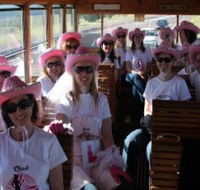 Newcastles Famous Tram - Lightning Ridge Tourism