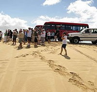 Port Stephens 4WD Tours - Lightning Ridge Tourism