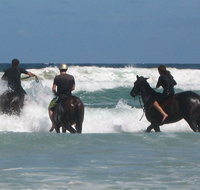Pegasus Park Equestrian Centre - Lightning Ridge Tourism