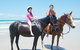 Pegasus Park Equestrian Centre - thumb 1