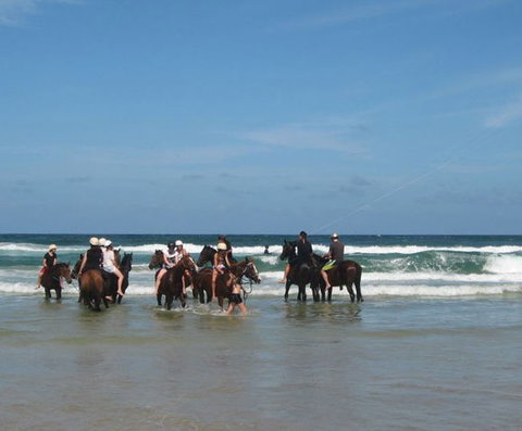 Pegasus Park Equestrian Centre - Lightning Ridge Tourism 2