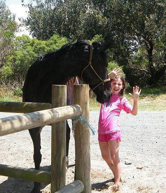 Pegasus Park Equestrian Centre - Lightning Ridge Tourism 3