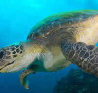 Byron Bay Dive Centre - Lightning Ridge Tourism