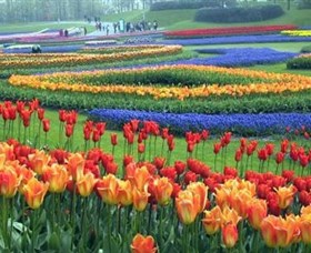 Botanica World Discoveries - Lightning Ridge Tourism 0