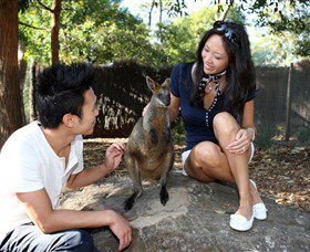 VIP Aussie Gold - Lightning Ridge Tourism 0