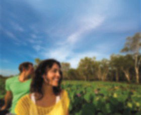 AAT Kings Guided Tours (Top End) - Lightning Ridge Tourism 3