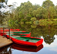 Lane Cove National Park - Lightning Ridge Tourism