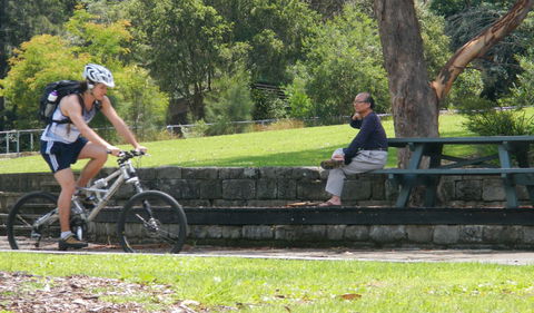 Pennant Hills West Pymble Fire Trail - Lightning Ridge Tourism 0